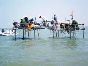 浅水湖泊水动力与营养盐内源释放