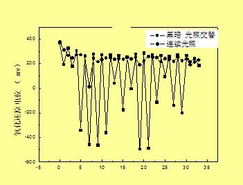 湖泊生态系统中的营养盐循环