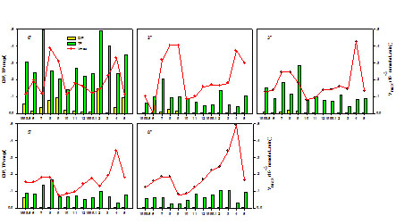 浅水湖泊水动力与营养盐内源释放