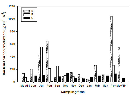微食物网与浅水湖泊生态系统动力学