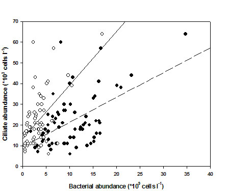 微食物网与浅水湖泊生态系统动力学
